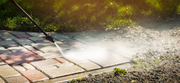 Professional Pressure washing in Bayou Lourse, LA